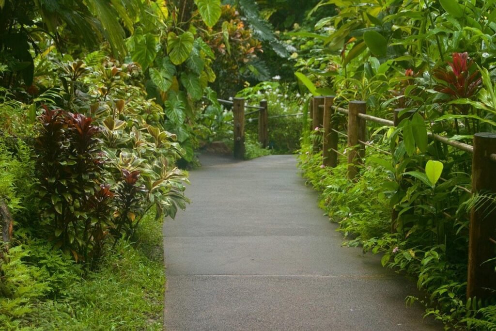 Photo d'un sentier dans un jardin botanique à Hawaii