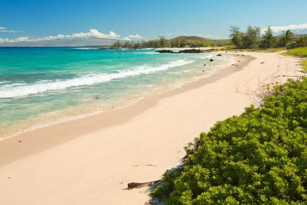 Plage de sable blanc à hawaii