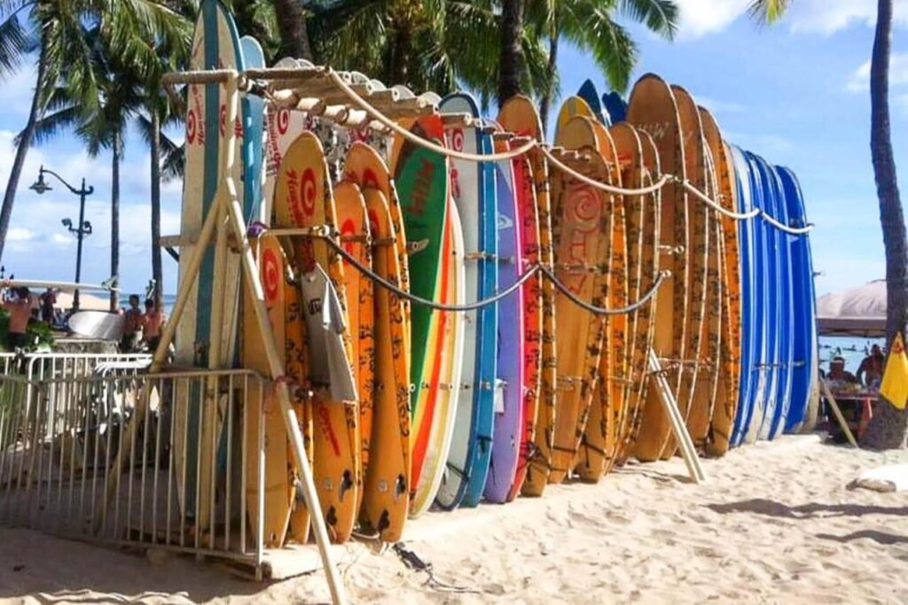 De nombreuses planches de surf prêtes pour être louée à Hawaii