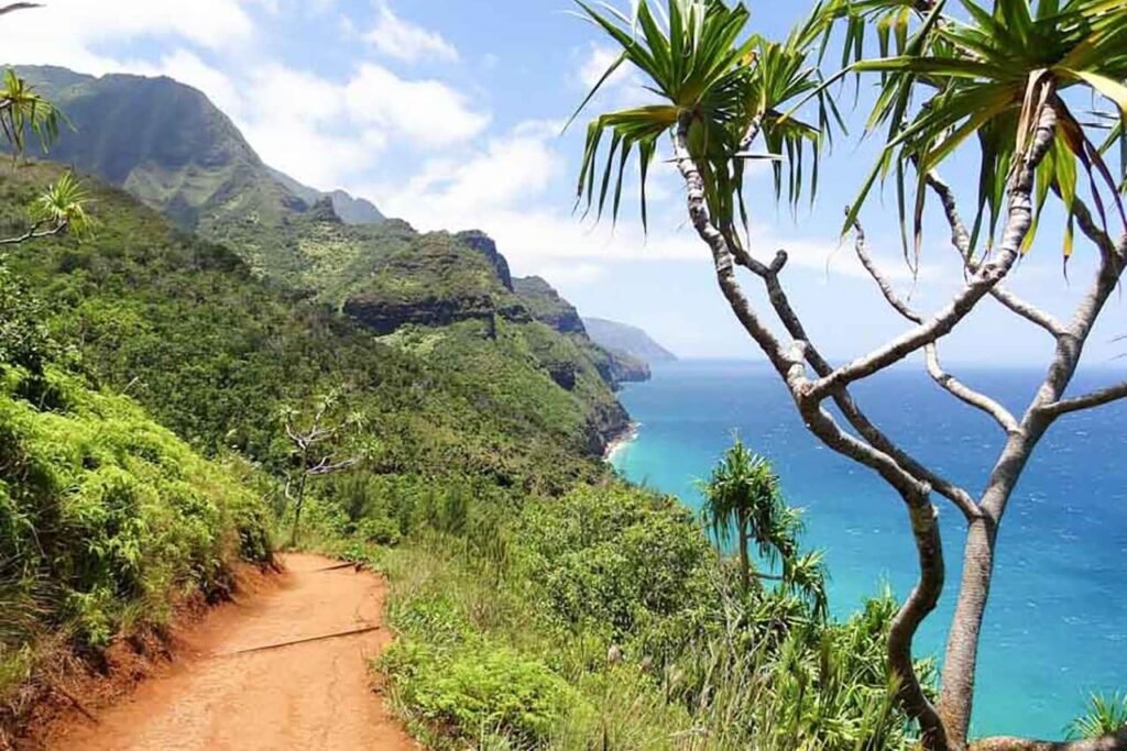 Un sentier pittoresque à Hawaii pour la randonnée