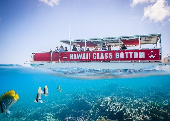 Waikiki Beach Glass Bottom Boat Tour