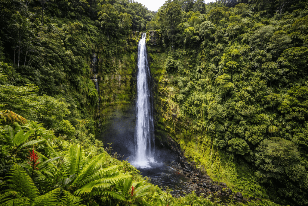 Akaka Falls, impressionnante cascade de 135 mètres entourée de forêt tropicale sur la côte est de Big Island.