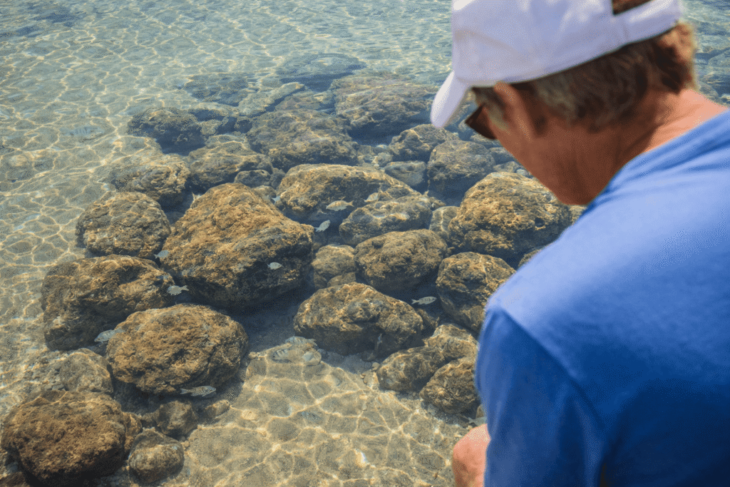 Rochers et petits poissons visibles dans l’eau claire d’un lagon de Ko Olina