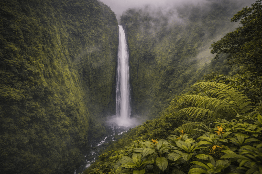 Grande cascade d’Hiʻilawe tombant le long d’une falaise verte abrupte dans la vallée de Waipiʻo, entourée de brume tropicale et de végétation luxuriante.