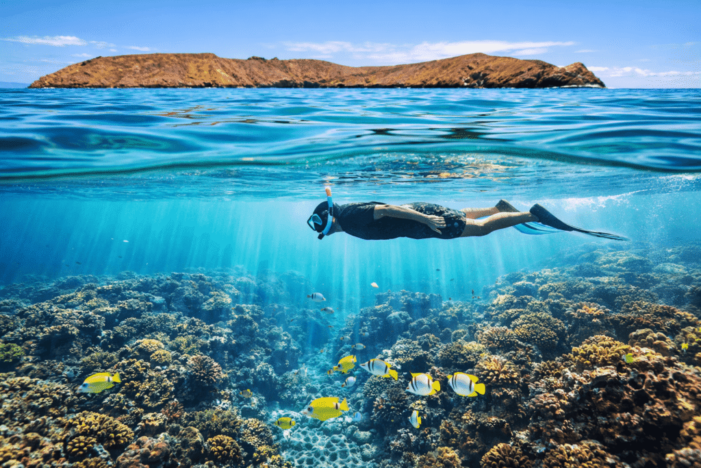 Snorkeleur nageant au-dessus d'un récif corallien coloré dans les eaux transparentes à l'intérieur du cratère de Molokini