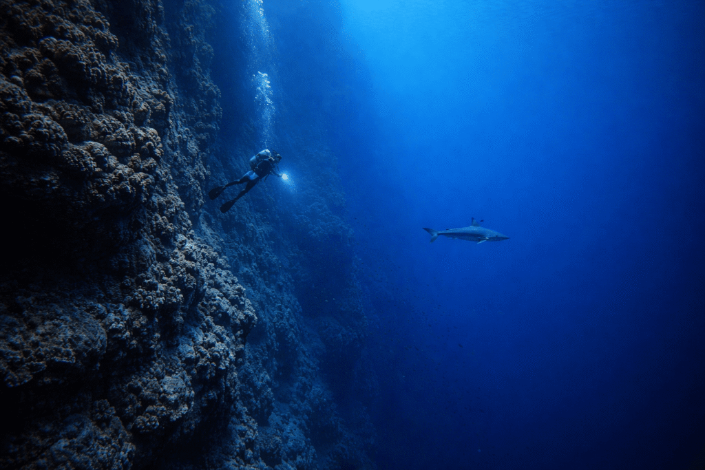Paroi extérieure abrupte du cratère de Molokini descendant dans les profondeurs bleu foncé de l'océan avec un plongeur en arrière-plan