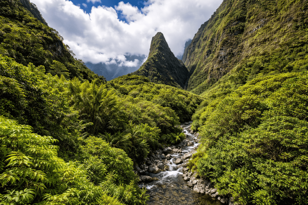Vue panoramique de Iao Valley à Maui avec montagnes verdoyantes aux parois abruptes et rivière en contrebas