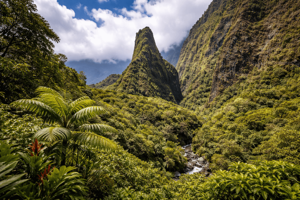Rivière Iao aux eaux claires coulant sur des rochers entre des parois montagneuses couvertes de végétation à Maui
