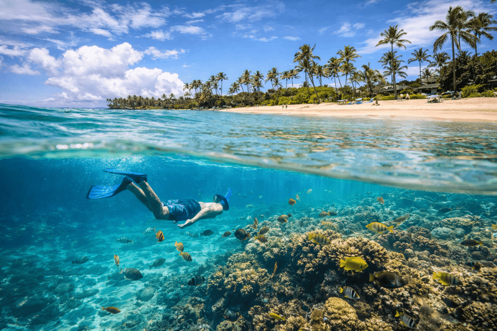 Personne faisant du snorkeling dans les eaux turquoise et peu profondes de Napili Bay avec des poissons tropicaux visibles sous la surface