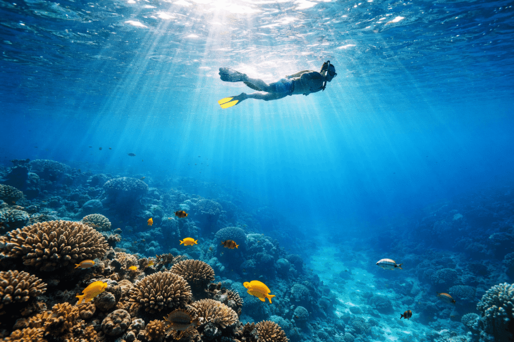 Personne faisant du snorkeling dans les eaux claires de Maui avec des rayons de soleil sous-marins pendant la saison des baleines