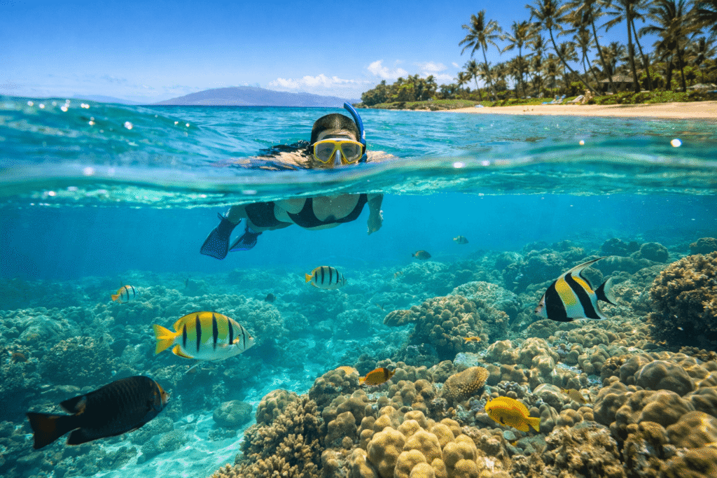 Snorkeling dans les eaux cristallines de Kamaole Beach à Kihei avec poissons tropicaux et récif corallien