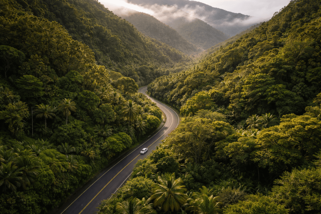 Vue aérienne d'une route sinueuse traversant la forêt tropicale de Maui avec une voiture blanche