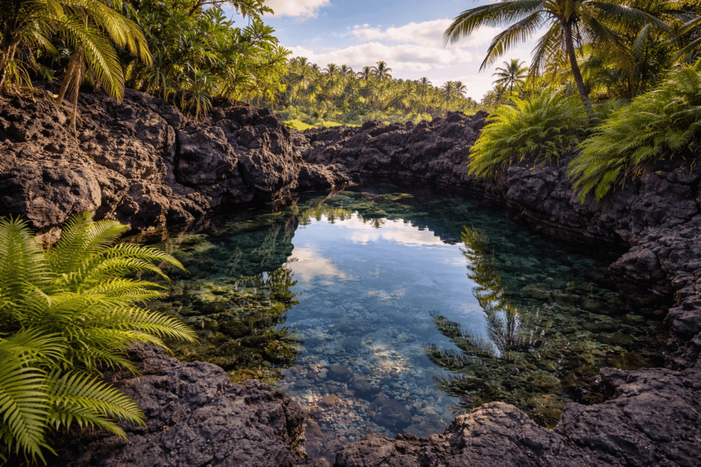 Piscine anchialine naturelle entourée de roches de lave noire et de fougères tropicales avec une eau calme reflétant le ciel.
