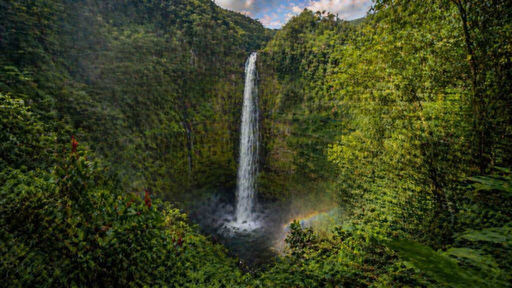 Cascade Akaka Falls tombant de 135 mètres dans un canyon tropical luxuriant, Big Island, Hawaii