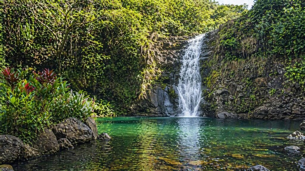 Cascade de Waimea Falls tombant dans un bassin naturel au cœur de la vallée tropicale d'Oahu