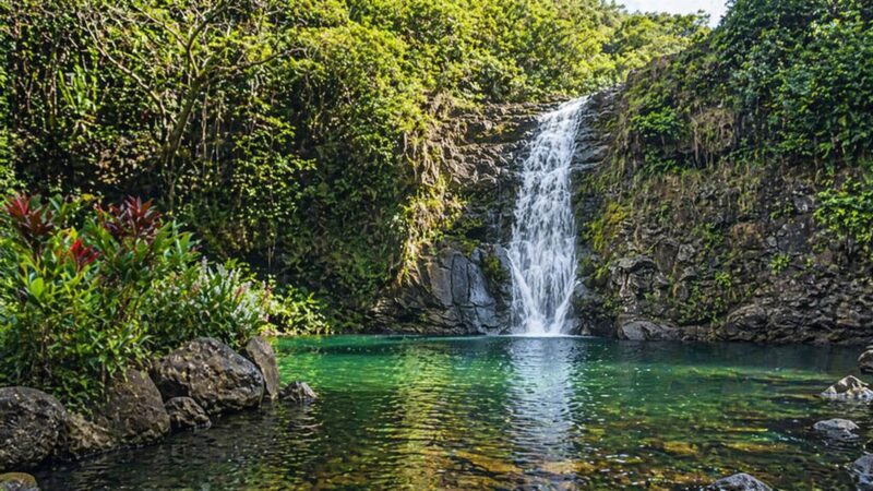 Cascade de Waimea Falls tombant dans un bassin naturel au cœur de la vallée tropicale d'Oahu