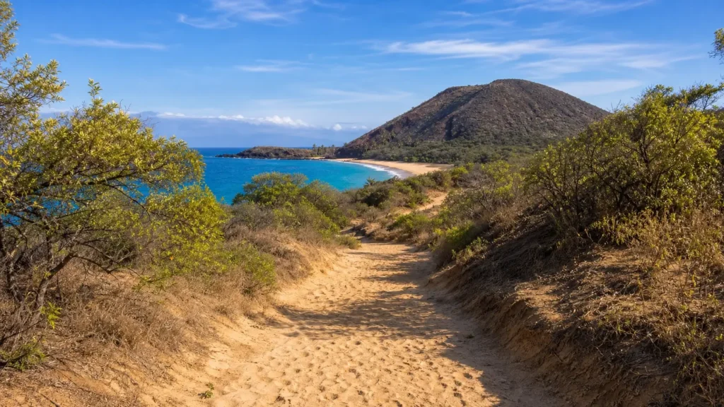 Sentier sablonneux menant vers Big Beach Makena à travers une végétation tropicale basse.