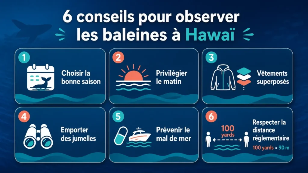 Infographie présentant six conseils pour observer les baleines à Hawaï : choisir la bonne saison, privilégier le matin, porter des vêtements superposés, emporter des jumelles, prévenir le mal de mer et respecter la distance réglementaire.