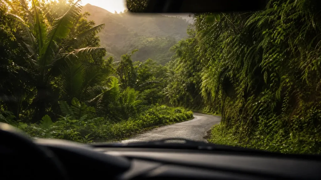 Route tropicale Mā‘alo Road menant au point de vue de Wailua Falls sur l’île de Kauai.