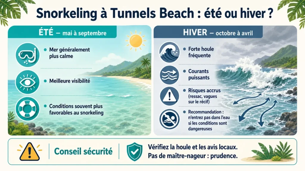 Infographie comparative en deux colonnes montrant les conditions généralement plus calmes et favorables en été, tandis que l’hiver peut présenter une forte houle, des courants et des risques accrus.
